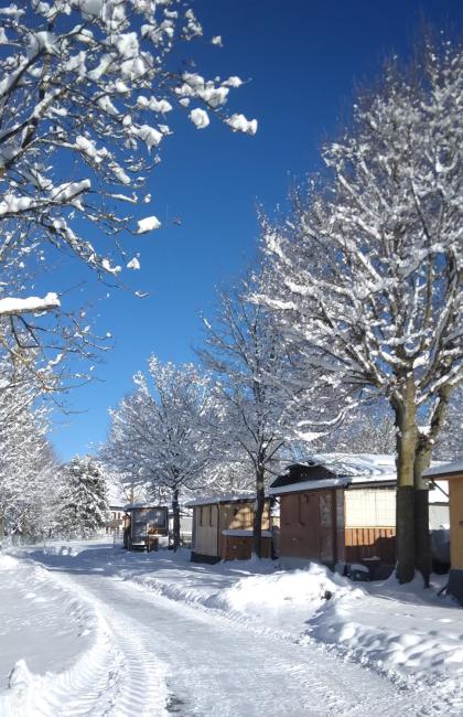 Strada innevata tra case di legno e alberi sotto il cielo blu.