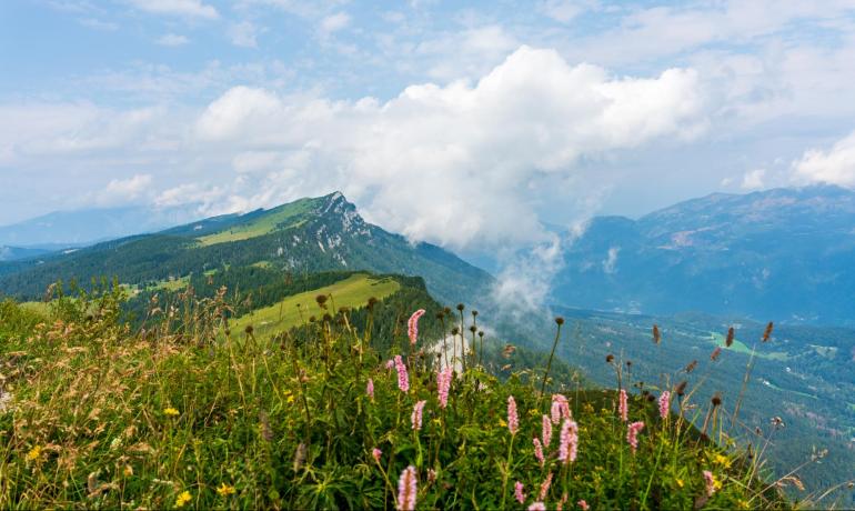 Vista panoramica di montagne verdi e fiori rosa sotto un cielo nuvoloso.