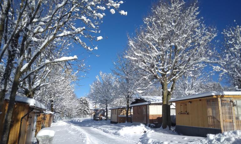 Strada innevata tra case di legno e alberi sotto il cielo blu.