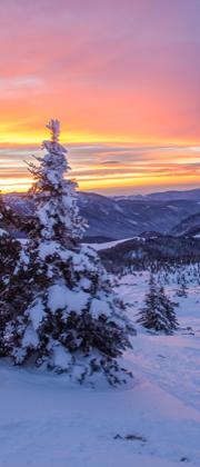 Alba invernale su montagne innevate con alberi coperti di neve.