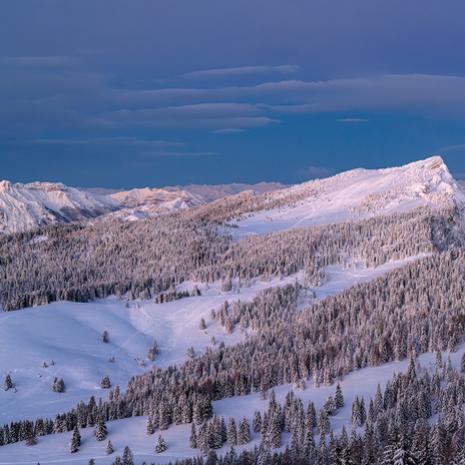 Panorama montano innevato con foresta e cielo blu al tramonto.