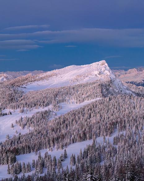 Paesaggio invernale con alberi innevati e cielo colorato al tramonto.