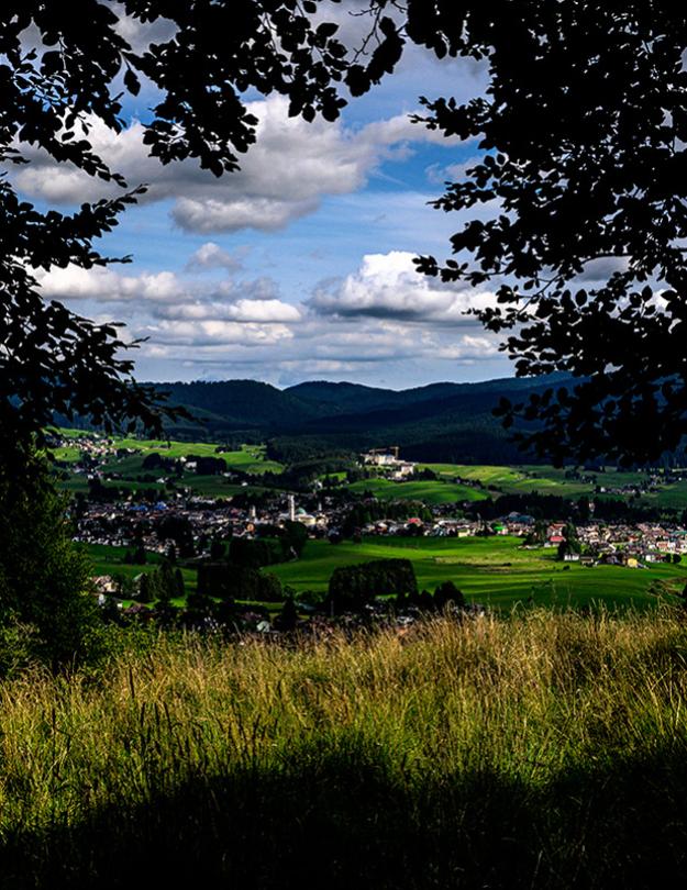 Vista panoramica di una valle verde con un villaggio, incorniciata dagli alberi.